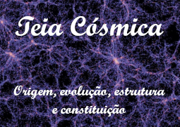 Teia cósmica