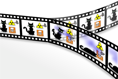 Gato de Schrödinger