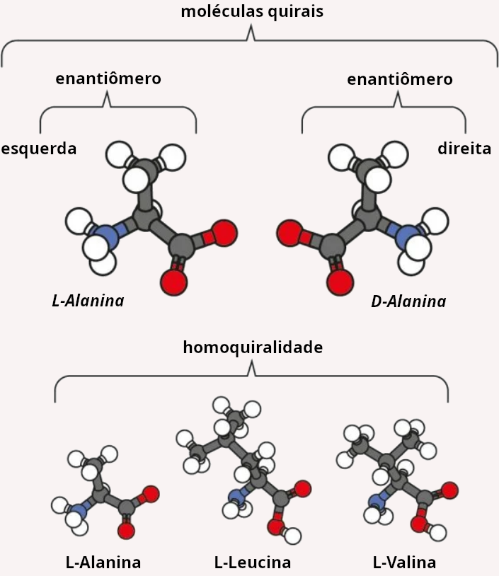 Homoquiralidade