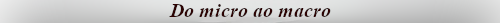 Do micro ao macro
